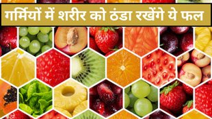 Summer Fruits । best fruit in summer । Top 5 best fruit in summer