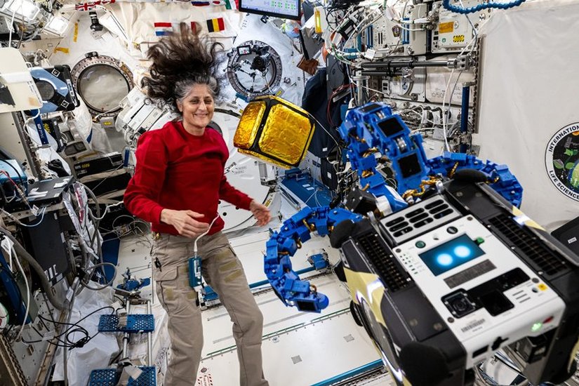 Astronaut Health Issues
