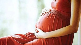surrogate Mother, Kerala High Court, Kerala HC