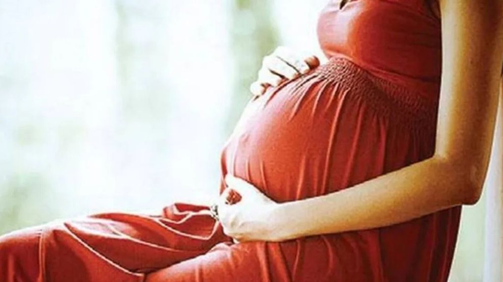 surrogate Mother, Kerala High Court, Kerala HC