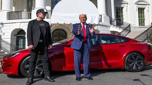 Donald Trump buying Tesla, Elon Musk Tesla White House, Trump and Musk relationship