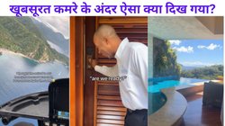 शादी के बाद हनीमून मनाने आइलैंड गया कपल, रूम का दरवाजा खोलते ही चौंके, नजारा देख गुम हो गई सिट्टी-पिट्टी, Video Viral