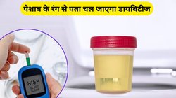 Diabetes Urine Symptoms: बार-बार पेशाब आना से लेकर झागदार तक, ये 5 संकेत बताएंगे किस बीमारी के हो सकते हैं शिकार