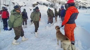 Uttarakhand Chamoli avalanche, Chamoli district avalanche news, Border Roads Organisation rescue operation, BRO search operation Chamoli,