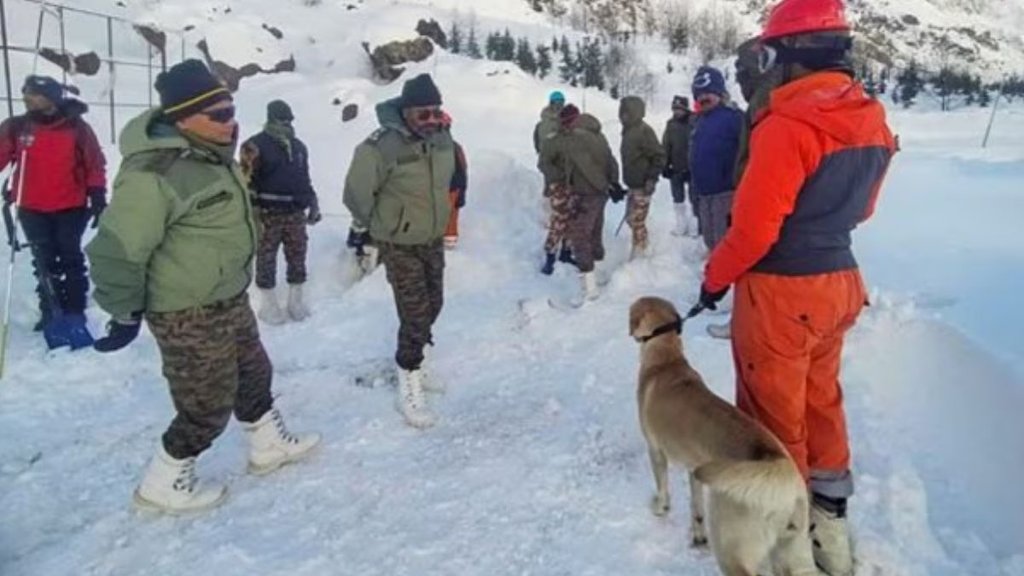 Uttarakhand Chamoli avalanche, Chamoli district avalanche news, Border Roads Organisation rescue operation, BRO search operation Chamoli,