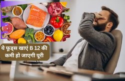 बॉडी को खोखला बना देती है Vitamin B12 की कमी, चिकन मटन नहीं खाते तो खा लें सिर्फ ये चीज, ये Vegetarian Foods भी है बेस्ट ऑप्शन