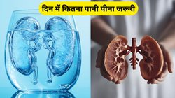किडनी को बनाना है हेल्दी तो रोज पिएं इतना पानी, नहीं तो हो जाएगी डैमेज, जानिए कैसे