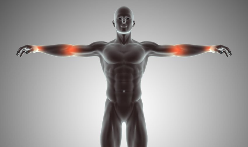 Which Soaked dates More Health Benefits Water or Milk