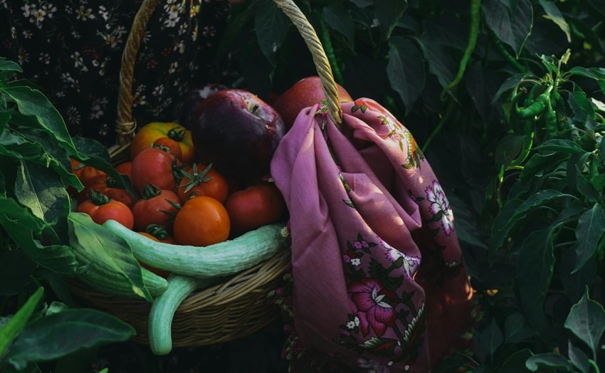 Balochistan Fruits Production