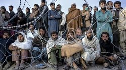 पाकिस्तान ने अफगान नागरिक कार्ड धारकों को दी चेतावनी, 31 मार्च तक छोड़ना होगा देश