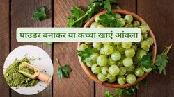 आंवला का सेवन करने से क्या कोलेस्ट्रॉल कंट्रोल रहता है? LDL कंट्रोल करने के लिए कितना करें सेवन, एक्सपर्ट से जानिए सच्चाई