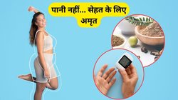 सूखे आंवला और जीरा का पानी पीने के 5 फायदे, मोटापा ही नहीं शुगर भी रहेगा कंट्रोल, एक्सपर्ट से जानिए कैसे करें इस्तेमाल