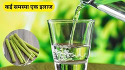 इस सब्जी का पानी सेहत के लिए अमृत, ये 5 समस्याएं हो जाएंगी छूमंतर, एक्सपर्ट से जानिए फायदे और कैसे करें इस्तेमाल