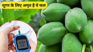 Raw Papaya, benefits of raw papaya, raw papaya benefits, blood sugar, gut health, kacha papita ke fayde in hindi, kacha papita ke fayde, raw papaya for blood sugar