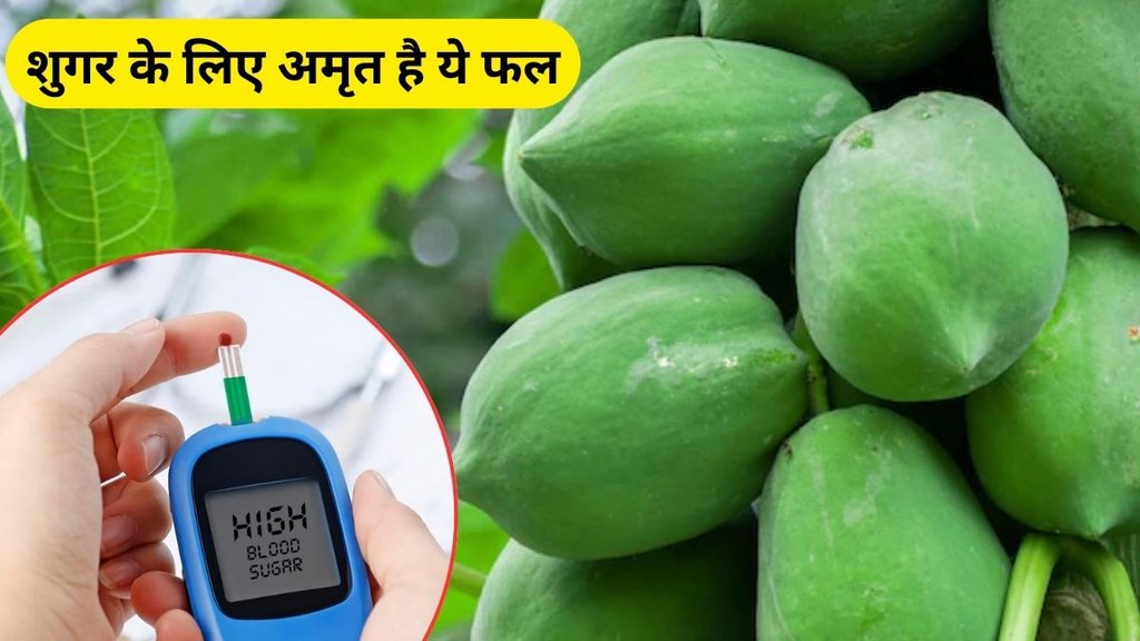 Raw Papaya, benefits of raw papaya, raw papaya benefits, blood sugar, gut health, kacha papita ke fayde in hindi, kacha papita ke fayde, raw papaya for blood sugar