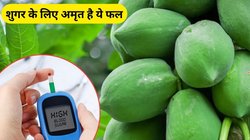 शुगर के मरीजों का रामबाण इलाज है ये कच्चा फल, गट हेल्थ भी हो जाएगी ओके, एक्सपर्ट से जानिए फायदे