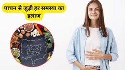 गड़बड़ा गया पाचन तंत्र? ये 3 फूड्स करेंगे कमाल, जानिए फायदे और सही इस्तेमाल