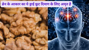 Walnut benefits for brain health,Does walnut improve the brain,What are the 10 benefits of walnuts,Food Science,Neuroscience,Nutrition,Omega-3 Fatty Acids,University of Reading,Beneficial Effects of Walnuts on Cognition and Brain Health,