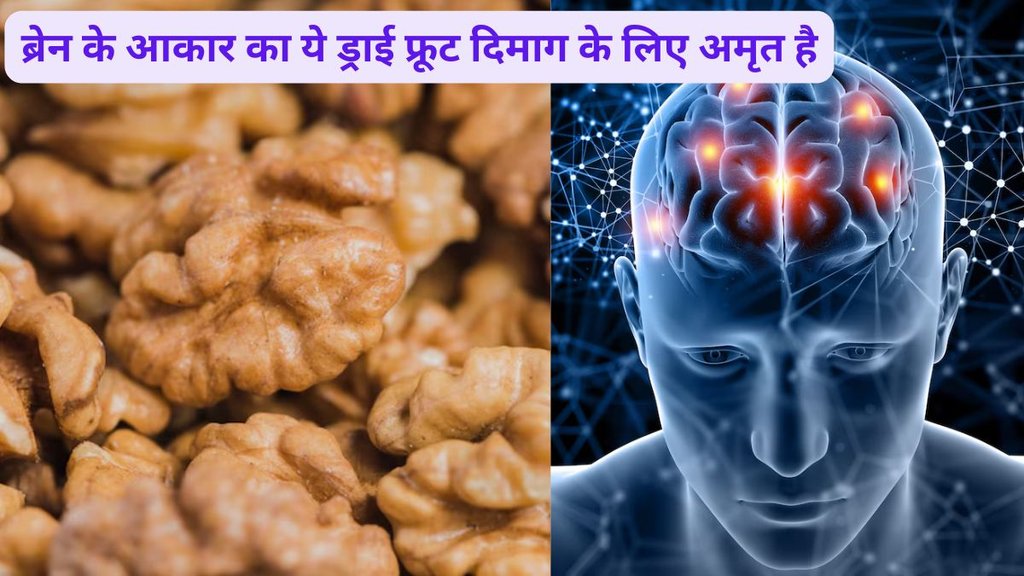 Walnut benefits for brain health,Does walnut improve the brain,What are the 10 benefits of walnuts,Food Science,Neuroscience,Nutrition,Omega-3 Fatty Acids,University of Reading,Beneficial Effects of Walnuts on Cognition and Brain Health,