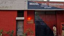 Holi 2025: चंडीगढ़ की बुड़ैल जेल के कैदियों ने किया ऐसा काम कि होली पर आप भी कहेंगे वाह-वाह