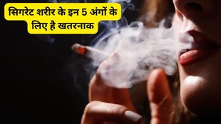 cigarettes dangerous for lungs, Cigarettes, lungs, health, smoking, smoke-free life, smoke side effects, No Smoking, Cigarette smoke slowly damages the entire body like poison