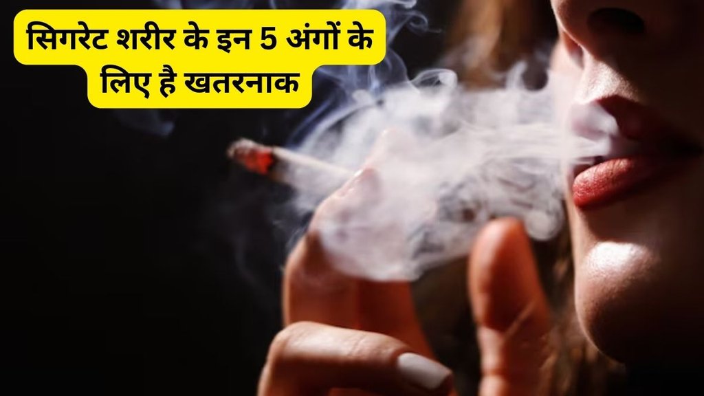 cigarettes dangerous for lungs, Cigarettes, lungs, health, smoking, smoke-free life, smoke side effects, No Smoking, Cigarette smoke slowly damages the entire body like poison