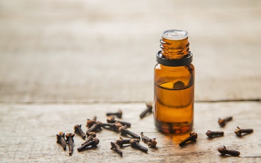 clove oil