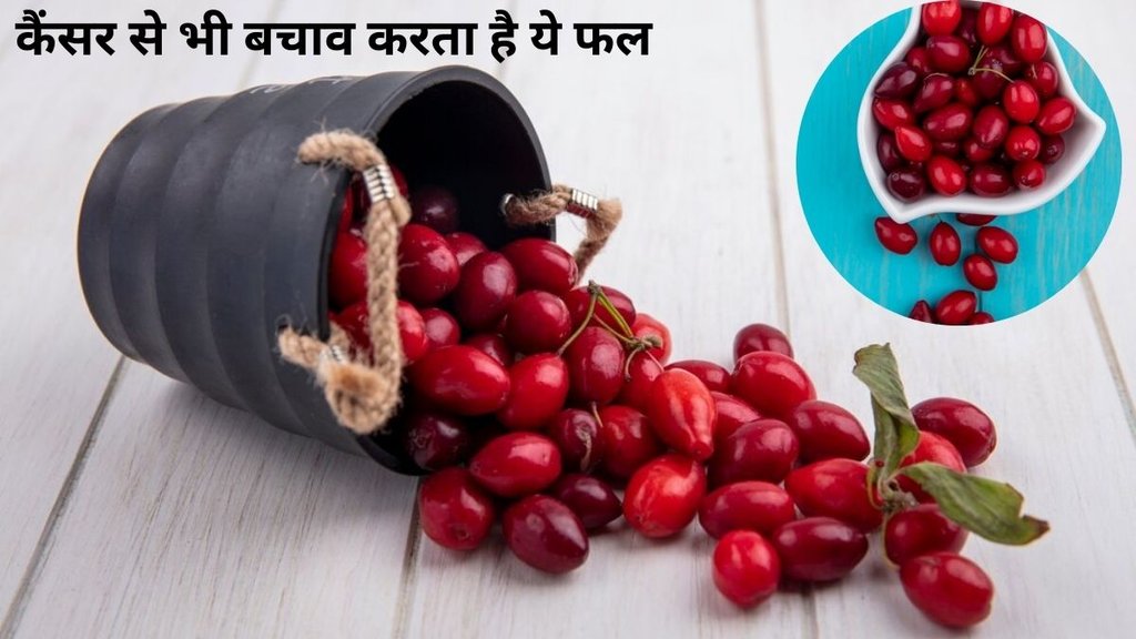 Health Benefits Of Cranberries,Health Benefits Of Cranberries,Cranberries benefits,Cranberry juice,cranberries memory,