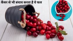 Cranberry Benefits: रोजाना क्रैनबेरी का सेवन किया जाए तो सेहत पर कैसा होता है असर, जानिए