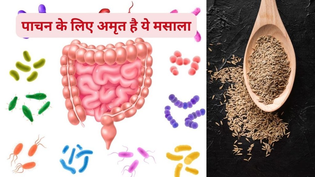 amazing benefites of Cumin seeds, gas and bloating cause, gas acidity and bloating cause, chew having food,benefits of using jeera for digestion amazing benefites of Cumin seeds, gas and bloating cause, gas acidity and bloating cause, chew having food,benefits of using jeera for digestion