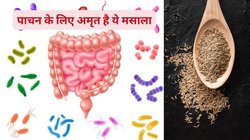 खाने के बाद पेट फूलकर कुप्पा हो जाता है तो इस 1 मसाले को भूनकर चबा लें, पेट की गैस हो जाएगी दूर, आंत हो जाएगी क्लीन