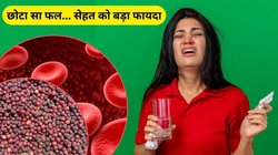 गर्मियों में सेहत के लिए वरदान है ये फल, शरीर को ठंडा रखने के साथ ही शुगर भी करेगा कंट्रोल, जानिए फायदे