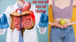 आंतों में गंदगी बढ़ने पर बॉडी में दिखते हैं ये 5 लक्षण, सदगुरु के बताए इन 3 हर्ब्स से पेट का हो जाएगा पूर्ण शुद्धिकरण, जानिए कैसे