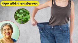 इस पत्ते से तेजी से कम हो जाएगी सारी एक्स्ट्रा चर्बी, शरीर को मिलेंगे कमाल के फायदे, डॉ. हंसा योगेंद्र से जानिए कैसे करें इस्तेमाल