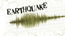 New Zealand Earthquake: न्यूजीलैंड में भूकंप के तेज झटके, रिक्टर स्केल पर 6.5 रही तीव्रता