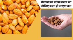 क्या बादाम खाने से सच में कम होता है वजन, रिसर्च में बड़ा खुलासा, दिल की बीमारियों में भी फायदा