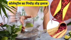 नसों में जमा कोलेस्ट्रॉल करना है कम तो सोमवार से लेकर संडे तक, ये 7 दिन का इन्फ्यूज्ड वॉटर रूटीन करें फॉलो, जानिए फायदे