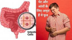 इन खास फूड्स को खाने से आंत रहती है हेल्दी, बैक्टीरियल इंफेक्शन से होता है बचाव और गुड बैक्टीरिया में होती है बढ़ोतरी, रिसर्च से जानिए