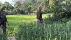 तीस साल में पहली बार! AK-47 लेकर ऑपरेशन में पहुंच गए जम्मू-कश्मीर के DGP, आधी रात तक करते रहे आतंकी की खोज