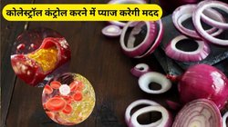 नसों में जमा सारा कोलेस्ट्रॉल निचोड़ देगी ये सब्जी, एक्सपर्ट से जानिए कैसे करें इस्तेमाल