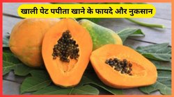 सुबह खाली पेट पपीता खाने से क्या होता है? एक्सपर्ट से जानिए फायदे या नुकसान