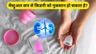 can inserting menstrual cups incorrectly lead to kidney injury, menstrual cup facts, menstrual cup, how to use menstrual cup, Kidney risk due to menstrual cup