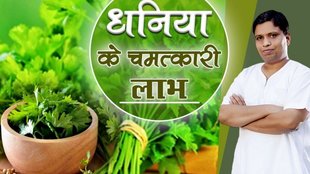 Coriander benefits, Coriander for Digestion, Coriander for joint pain, acharya balkrishna dhaniya gharelu upchar, dhaniya ke fayde