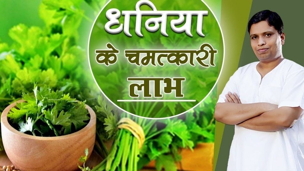 Coriander benefits, Coriander for Digestion, Coriander for joint pain, acharya balkrishna dhaniya gharelu upchar, dhaniya ke fayde Coriander benefits, Coriander for Digestion, Coriander for joint pain, acharya balkrishna dhaniya gharelu upchar, dhaniya ke fayde