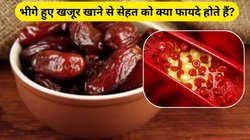 रोज 2 भीगे खजूर खाने से शरीर को मिलेंगे ये 3 फायदे, कोलेस्ट्रॉल भी हो जाएगा कंट्रोल, एक्सपर्ट से जानिए