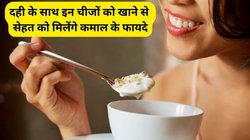 दही को इन 4 चीजों के साथ मिलाकर खाने पर शरीर के अंग-अंग को मिलेगी ताकत, कैंसर का खतरा भी होगा कम, जानिए कैसे