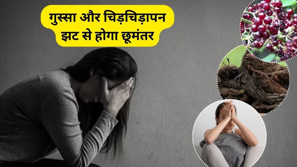 Spikenard, Spikenard benefits, natural solution, mood-boosting properties, mental clarity, anxiety, health, antidepressant herb, benefits of Spikenard, depression, brain, jatamansi ke fayde, acharya Balkrishna health tips