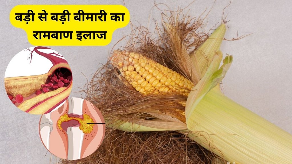 benefits of corn silk, corn silk for uric acid, corn silk for Gout, corn silk for kidney, bhutte ke baal ke fayde, bhutte ke baal ke fayde in hindi