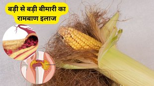 benefits of corn silk, corn silk for uric acid, corn silk for Gout, corn silk for kidney, bhutte ke baal ke fayde, bhutte ke baal ke fayde in hindi