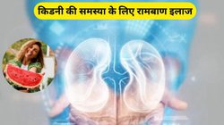 Kidney Care: किडनी के लिए अमृत है ये फल, शरीर के अंदर की सारी गंदगी भी निकल जाएगी बाहर, एक्सपर्ट से जानिए कैसे